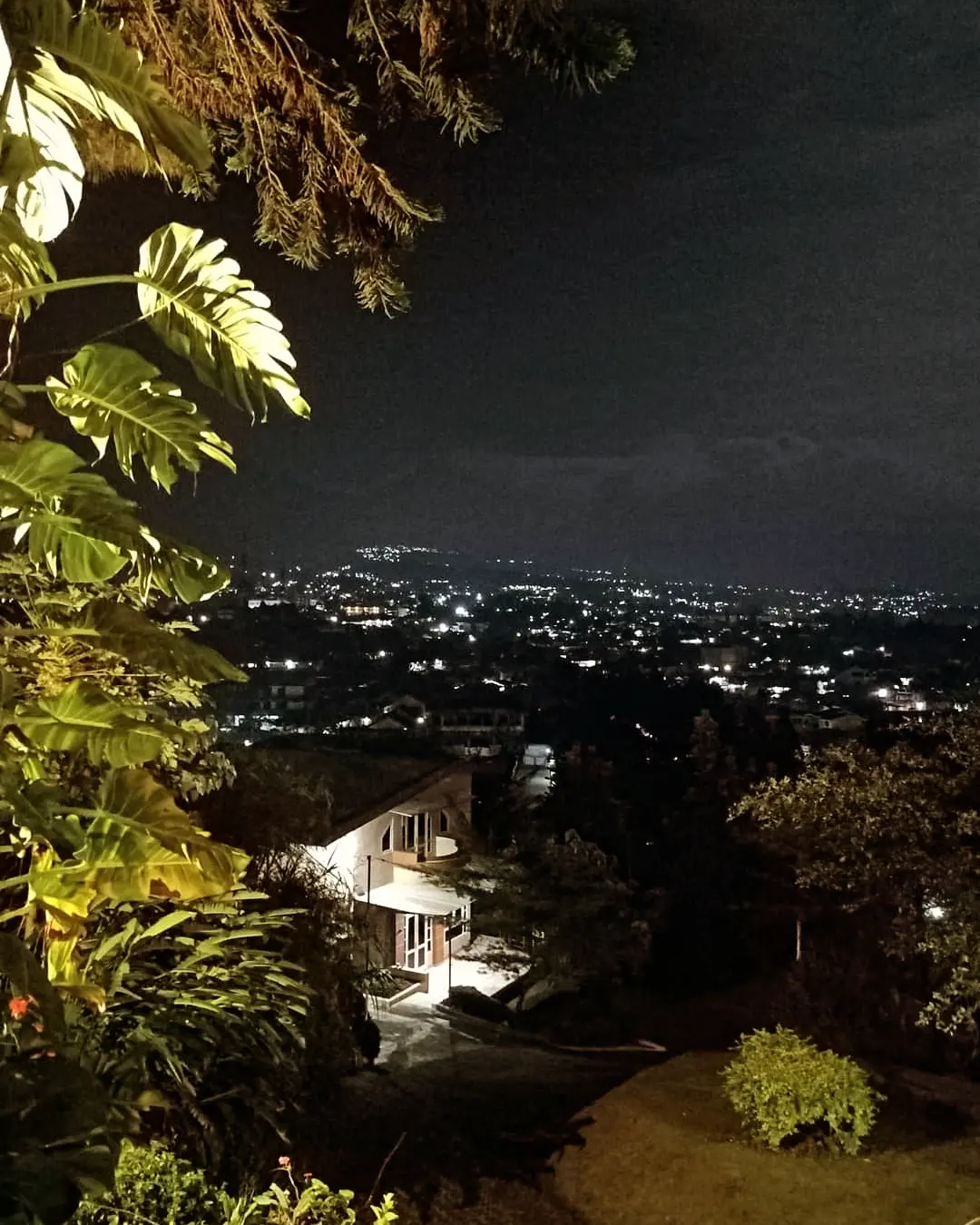 Glamping Rea Vee & Cafe Cipanas Puncak, Tawarkan Sensasi Berbeda