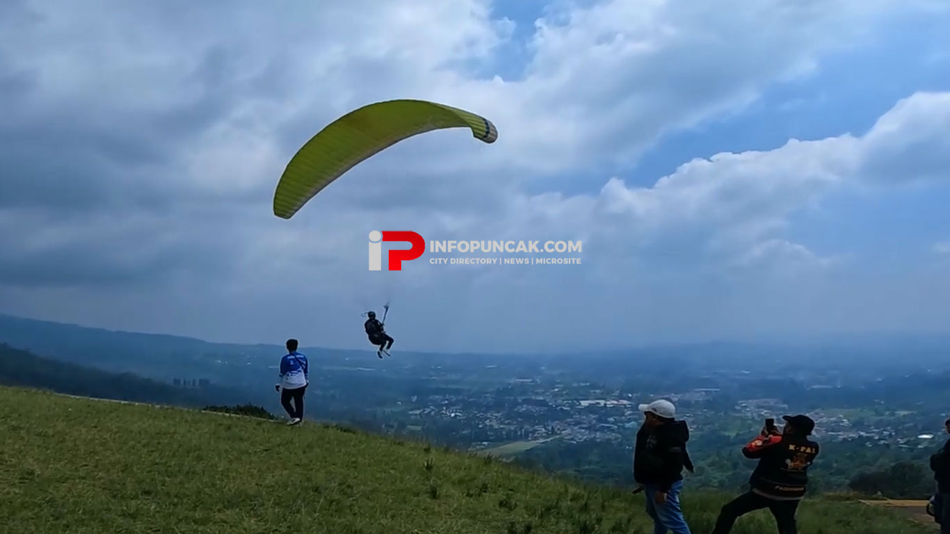Paralayang Puncak Bogor - Sensasi Terbang Bebas di Langit Puncak